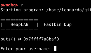 Executando o programa
