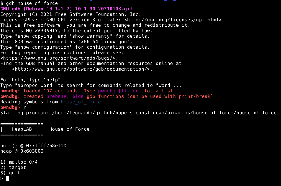 Executando o binário
