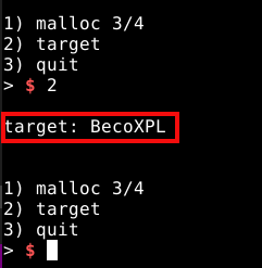 Data section sobrescrito