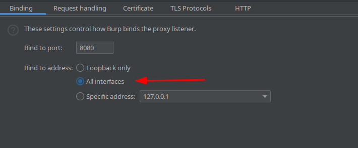 Configuração do BurpSuite