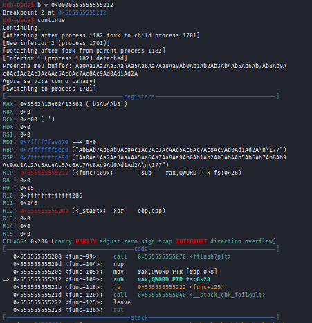 Registrador RAX contendo o valor sobrescrito do Canary.
