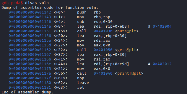 Disassembly da função vuln