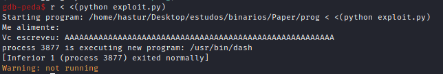 Programa chamando /bin/dash via GDB.