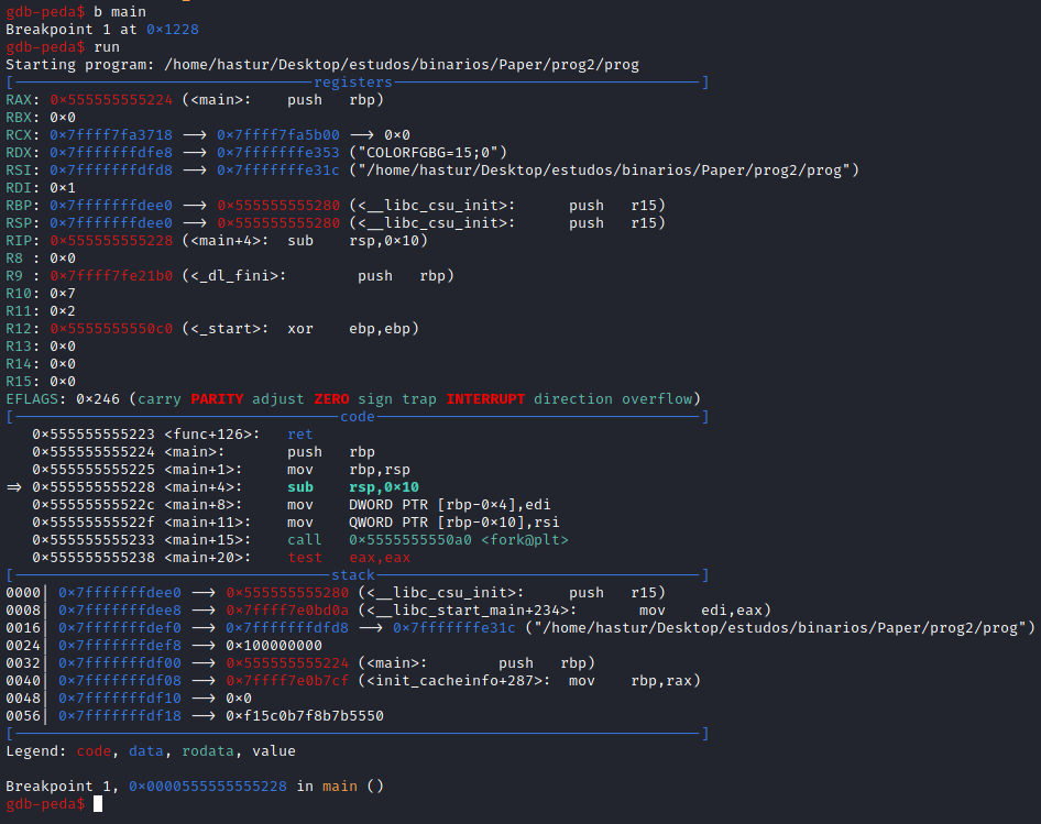 Overview dos registradores no início da execução do programa.