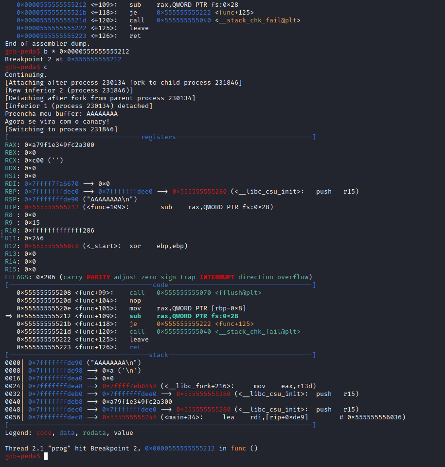 Registradores no breakpoint de conferência do Canary.