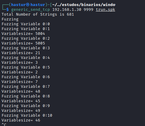 Iniciando o fuzzing.